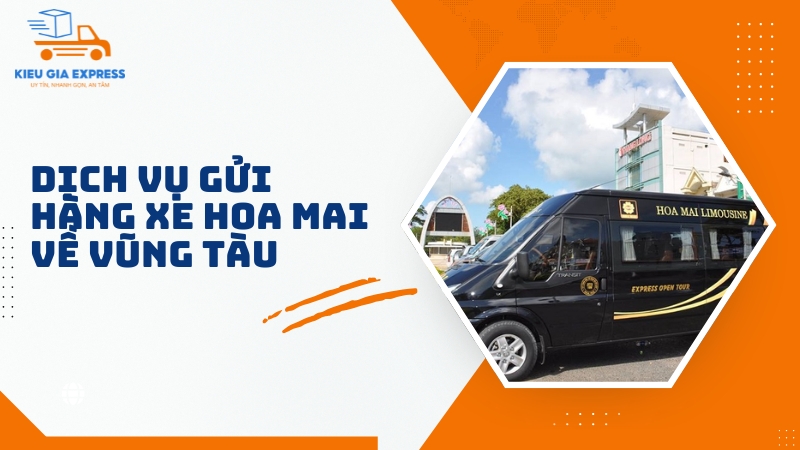 Hướng dẫn gửi hàng xe Hoa Mai về Vũng Tàu chi tiết 1 So-luoc-ve-dich-vu-gui-hang-xe-Hoa-Mai-ve-Vung-Tau