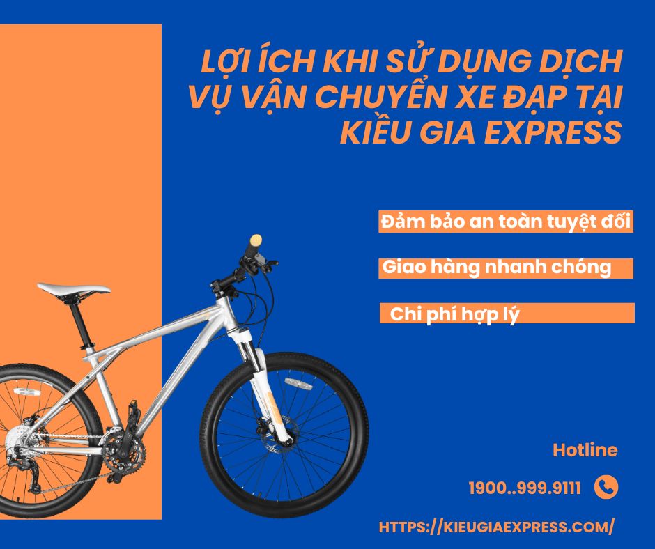 Dịch Vụ Vận Chuyển Xe Đạp Uy Tín, Nhanh Chóng Toàn Quốc 1 Lợi Ích Khi Sử Dụng Dịch Vụ Vận Chuyển Xe Đạp Của Kiều Gia Expess.