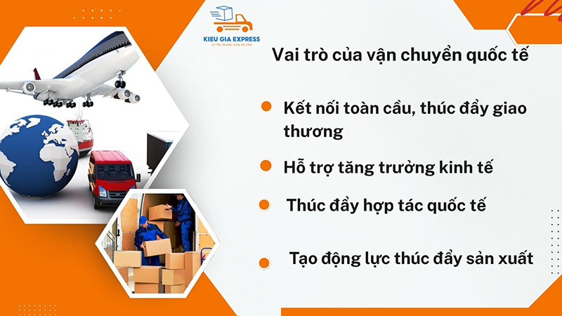 Vai trò vận chuyển quốc tế